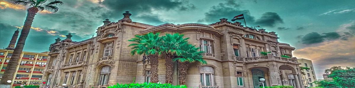 Ain Shams University